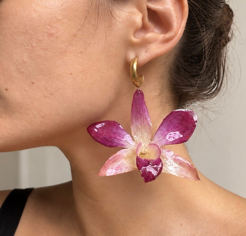 Boucles Dendrobium Rosées