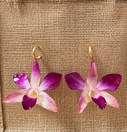 Boucles Dendrobium Rosées