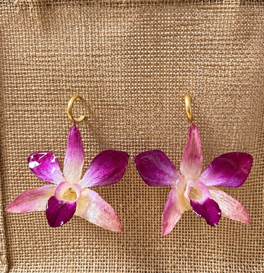 Boucles Dendrobium Rosées