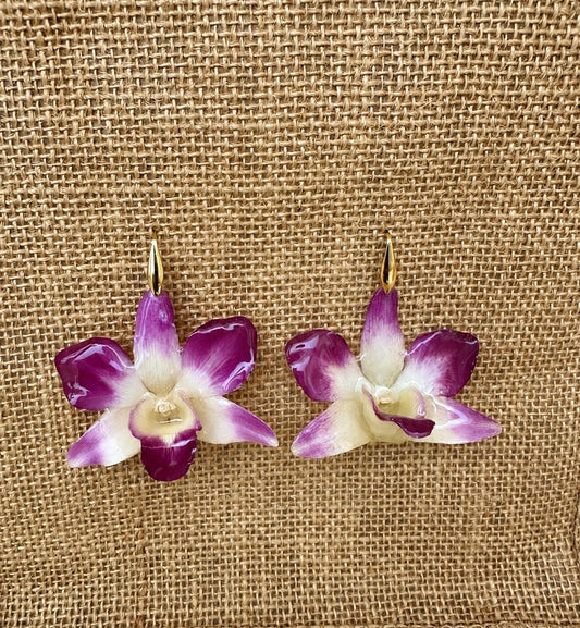 Boucles Dendrobium Bicolores