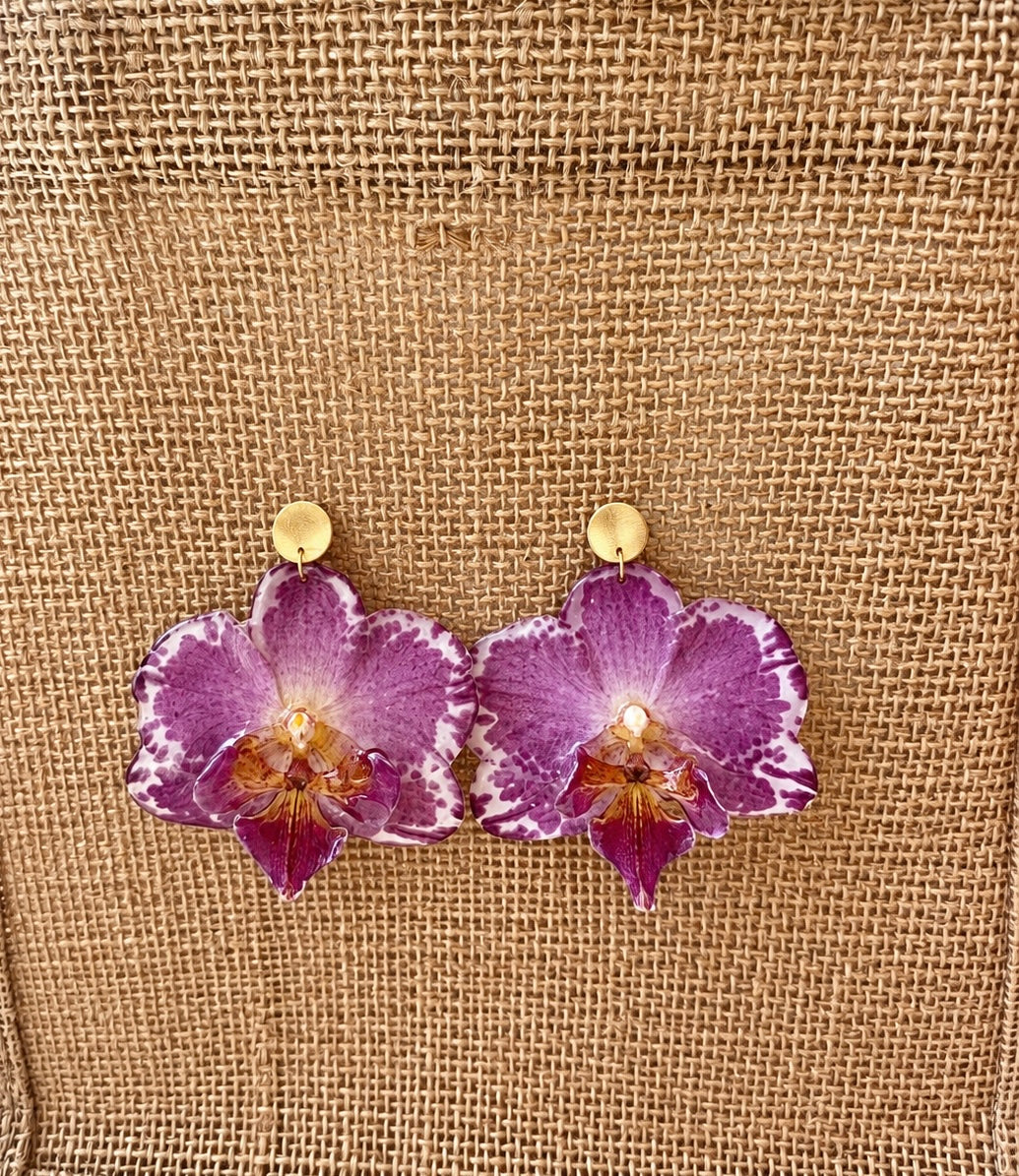 Parure Phalaenopsis Bicolores