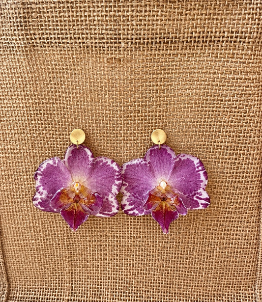 Parure Phalaenopsis Bicolores