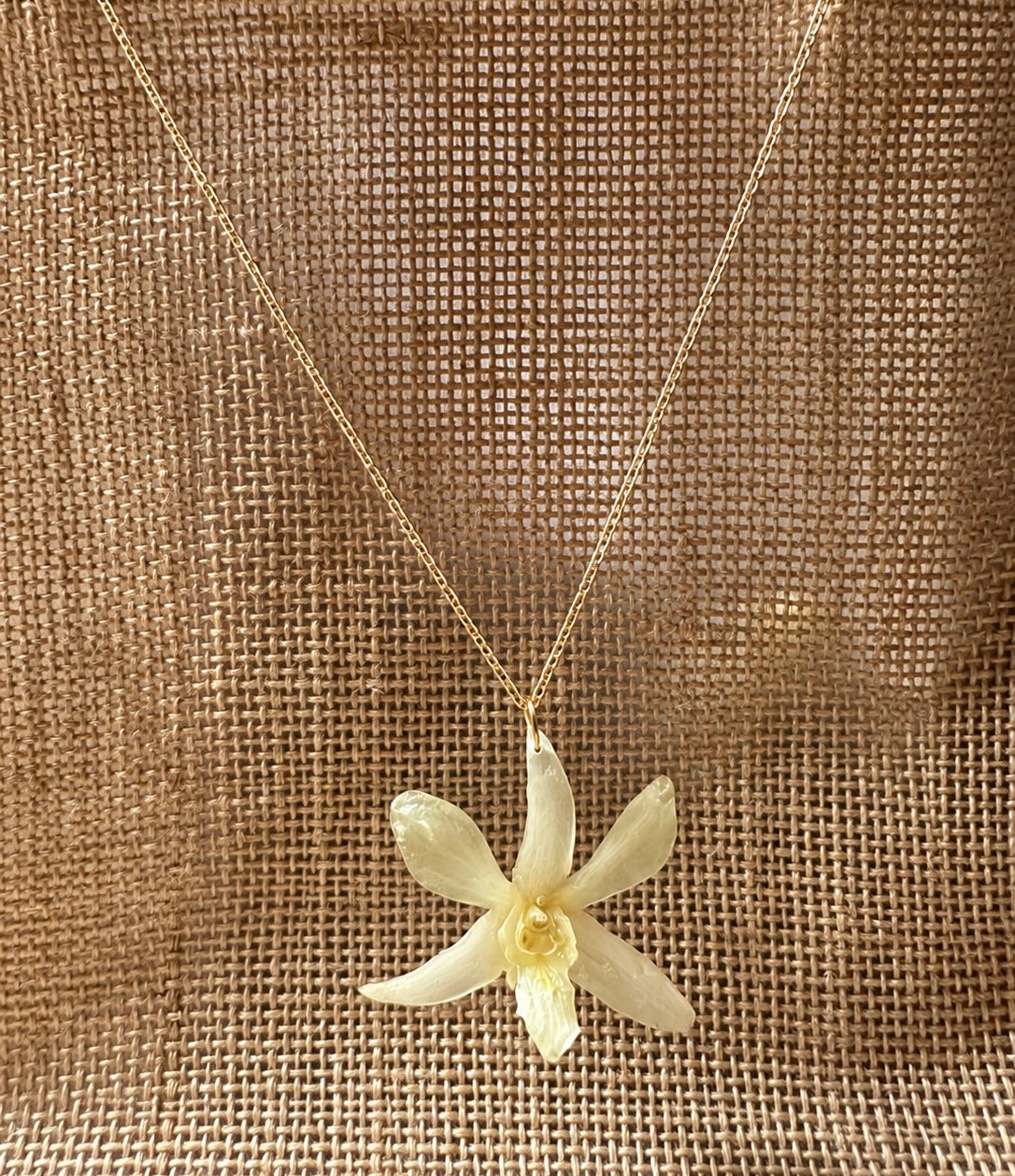 Parure Dendrobium Blanche