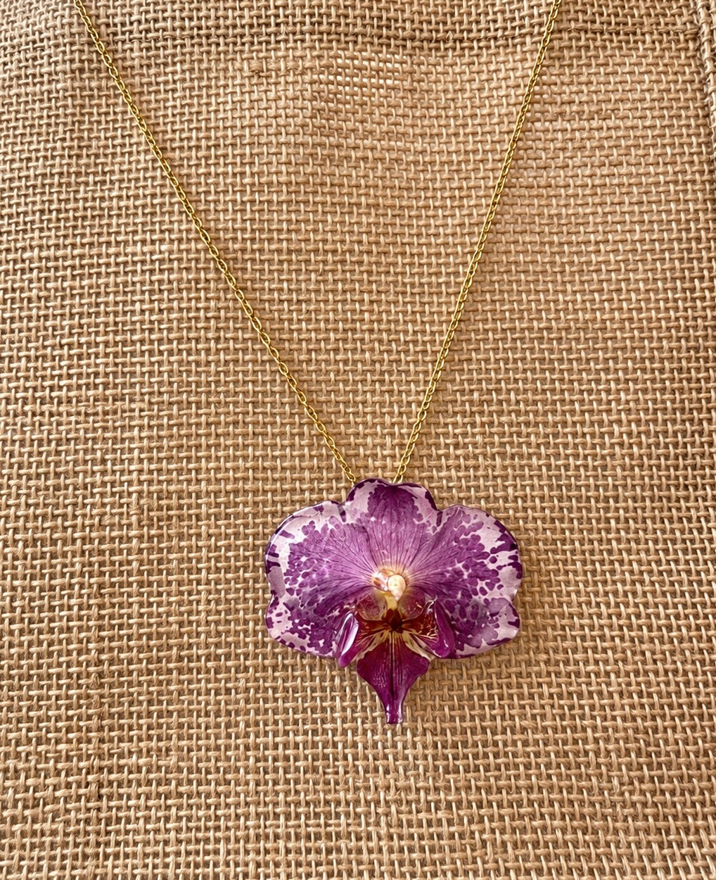 Parure Phalaenopsis Bicolores