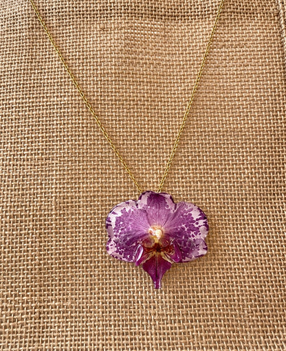 Parure Phalaenopsis Bicolores