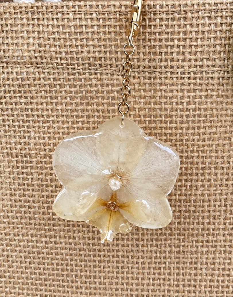 Charm Phalaenopsis Blanche
