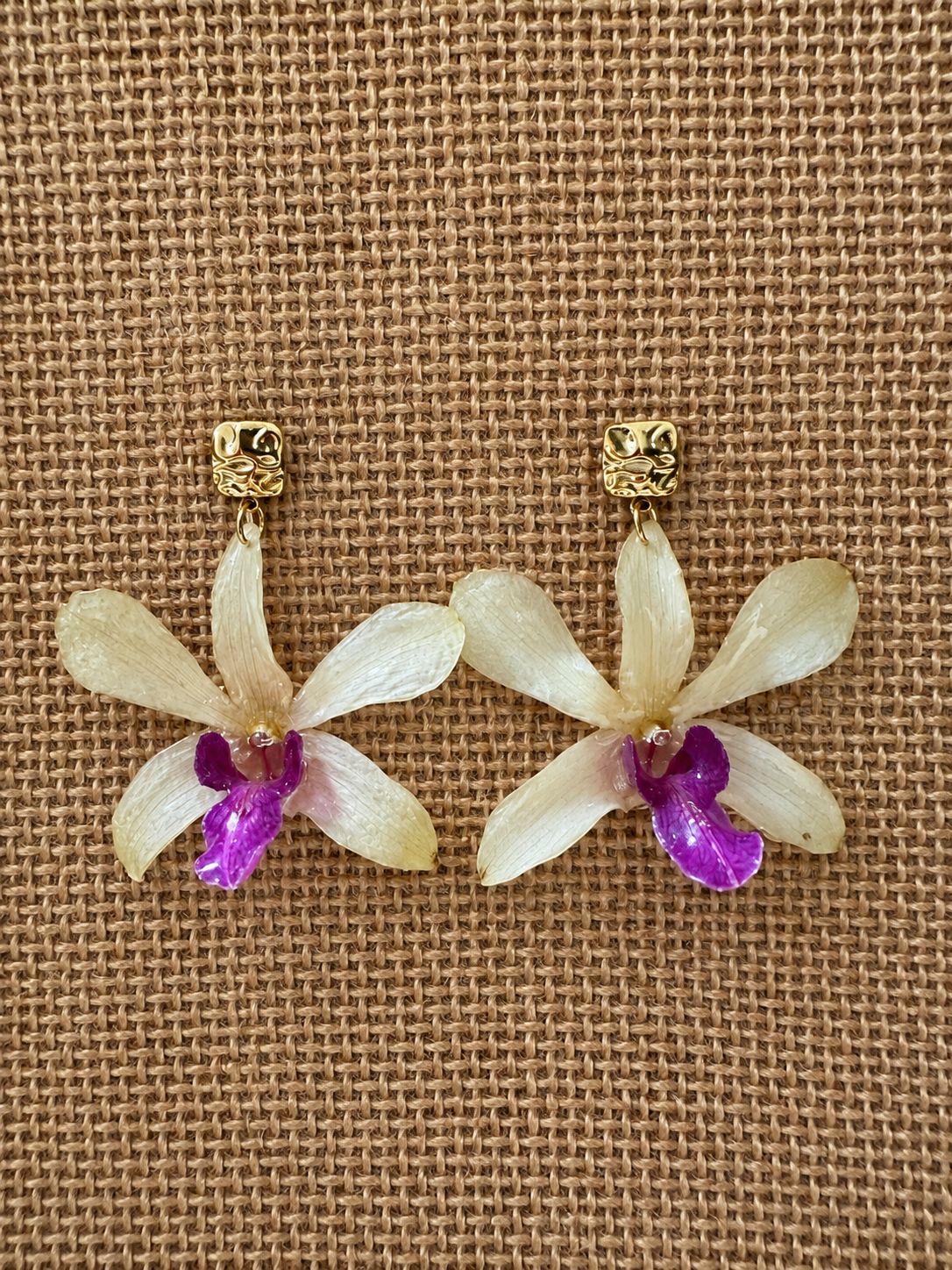 Boucles Dendrobium Bicolores
