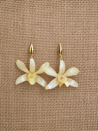 Parure Dendrobium Blanche