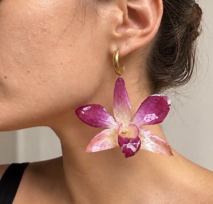 Boucles Dendrobium Rosées