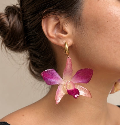Boucles Dendrobium Rosées