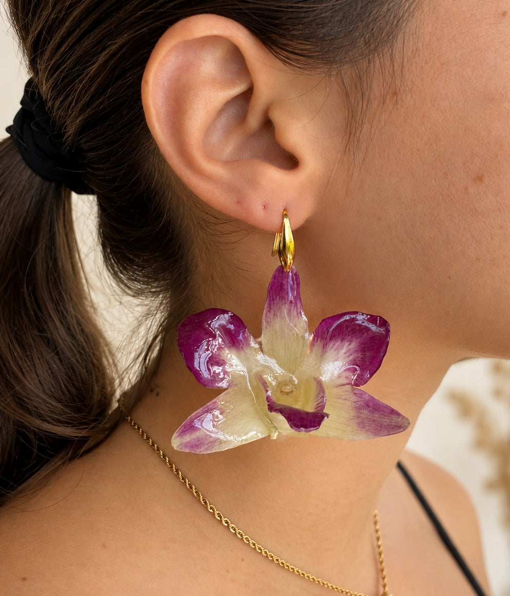 Boucles Dendrobium Bicolores