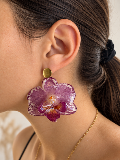 Parure Phalaenopsis Bicolores