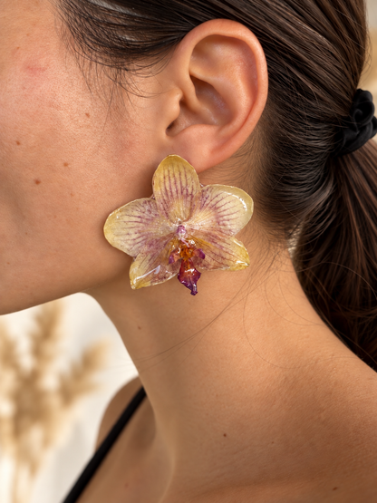 Boucles Phalaenopsis